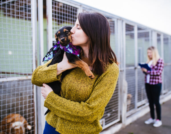 posvojite prijatelja