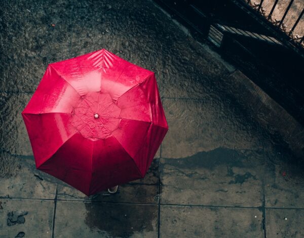 lekarniška zbornica slovenije